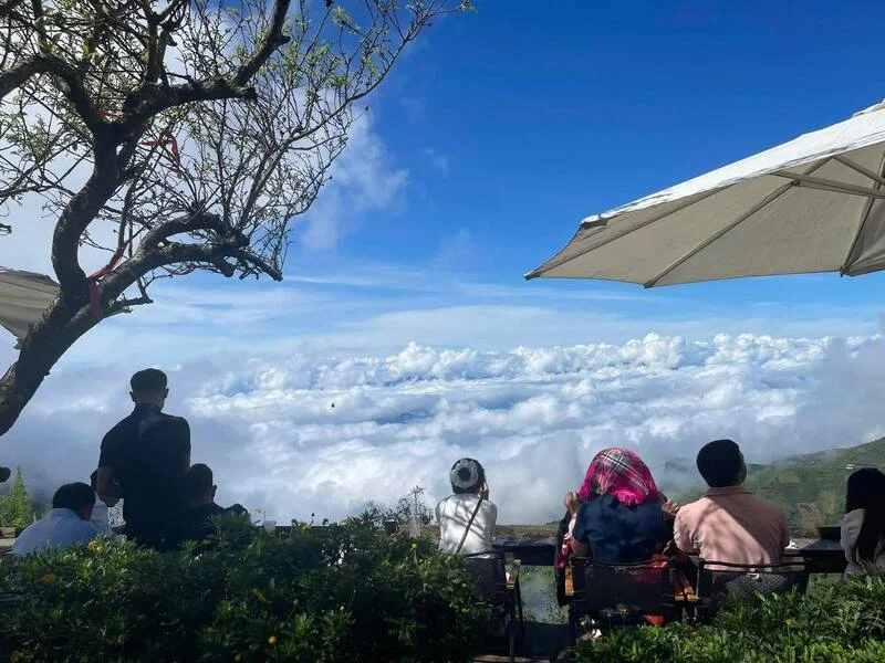 Kinh Nghiệm Du Lịch Tà Xùa Từ A-Z: Mặc gì, Ăn gì, Chơi gì, Ở đâu & Lưu ý sống còn