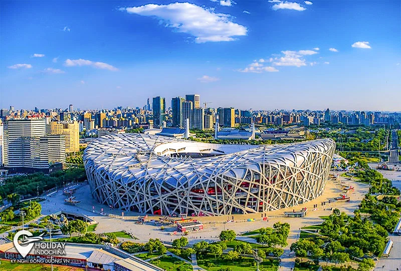 san-van-dong-to-chim