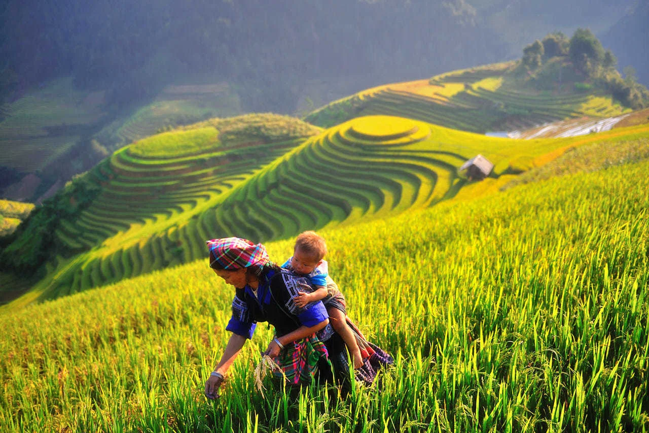 Thời điểm du lịch Sapa: Đặc điểm 4 mùa, các mùa hoa & kinh nghiệm lựa chọn