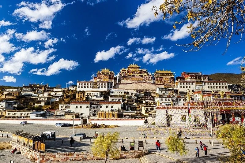 shangri-la-8-1694706499-36ac8dece2754ff283990dafa82dbe9e-1024x1024
