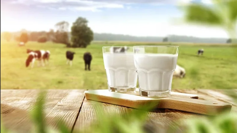 Review các món ngon Mộc Châu nhất định phải thử: Cẩm nang Food Tour từ A-Z