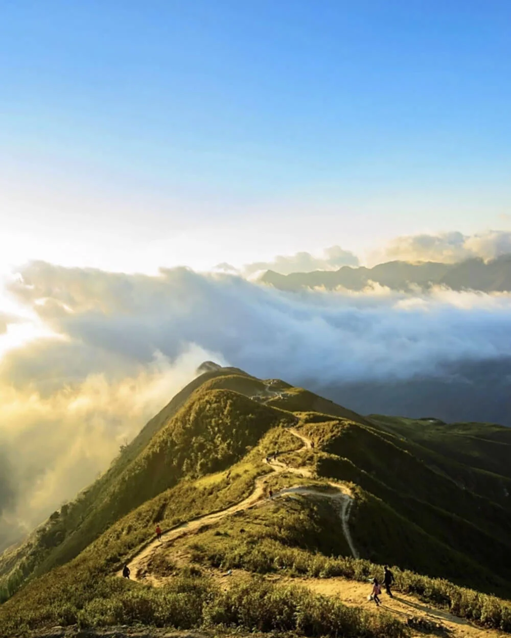 Sống Lưng Khủng Long Tà Xùa: Vị trí, điểm nổi bật, kinh nghiệm du lịch & công ty uy tín