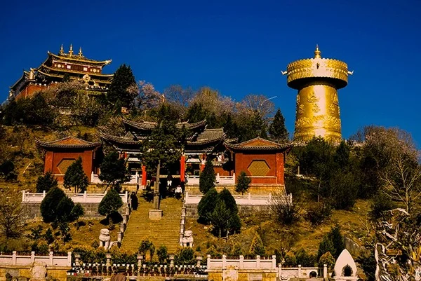 thanh-co-duzekong-1