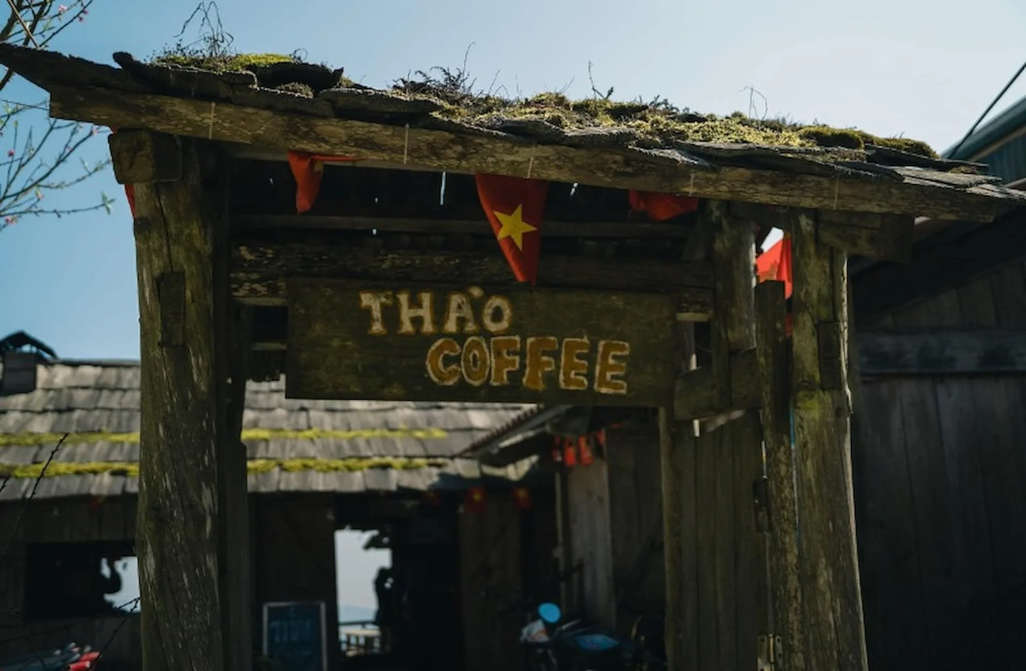 Top quán cà phê săn mây tuyệt đẹp tại Tà Xùa