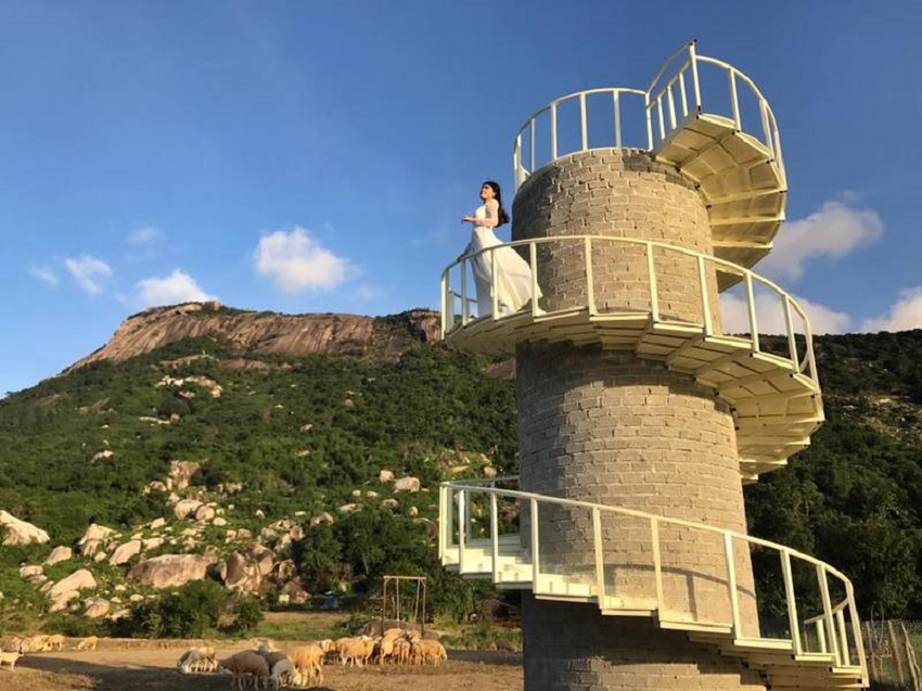 Kinh nghiệm đi Đồi cừu Vĩnh Hy: Giá vé, đường đi & 1001 góc check-in "triệu like"