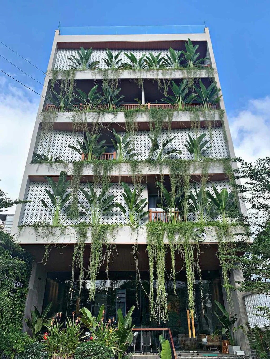 the-mystery-con-dao-25