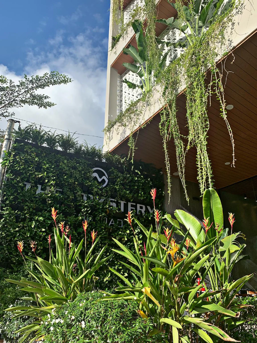 the-mystery-con-dao-31