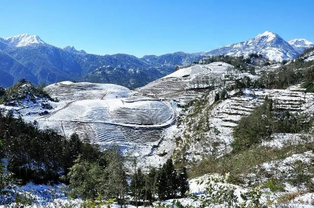 mua-san-tuyet-san-may-tai-sapa-trai-nghiem-co-1-0-2