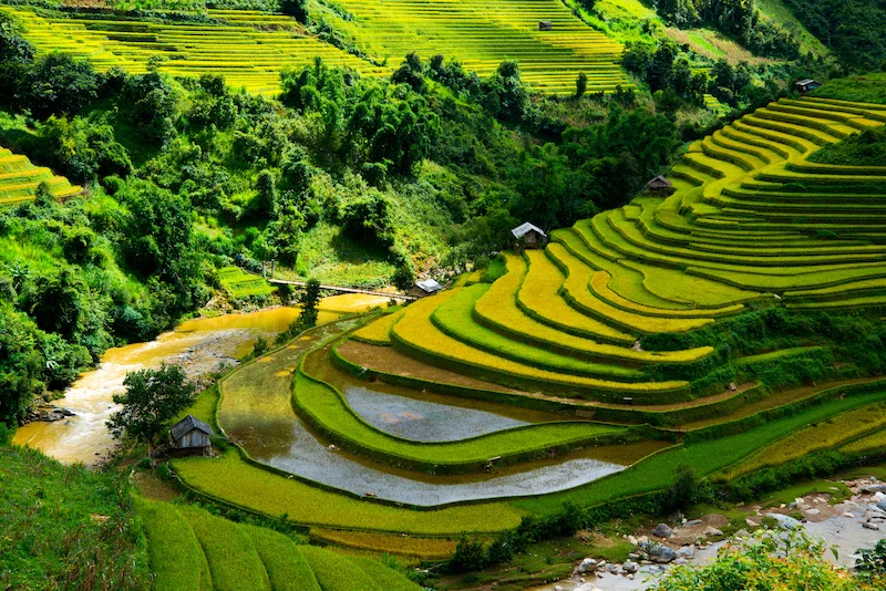 mua-ha-thang-6-thang-8-mua-tranh-nong-va-nuoc-do