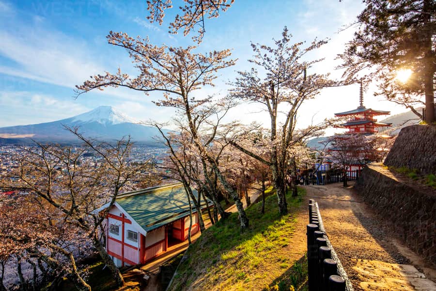 khi-hau-yamanashi-dac-trung-thung-lung-va-thoi-diem-du-lich