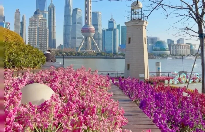 tai-sao-nen-chon-phe-travel-cho-hanh-trinh-nay