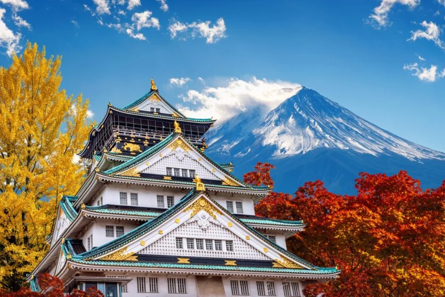 tour-nhat-ban-cung-duong-vang