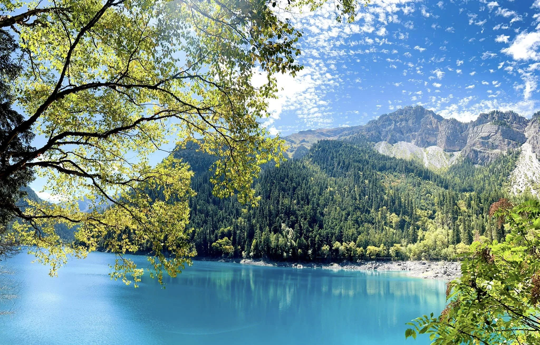 tai-sao-nen-chon-phe-travel-cho-hanh-trinh-cuu-trai-cau