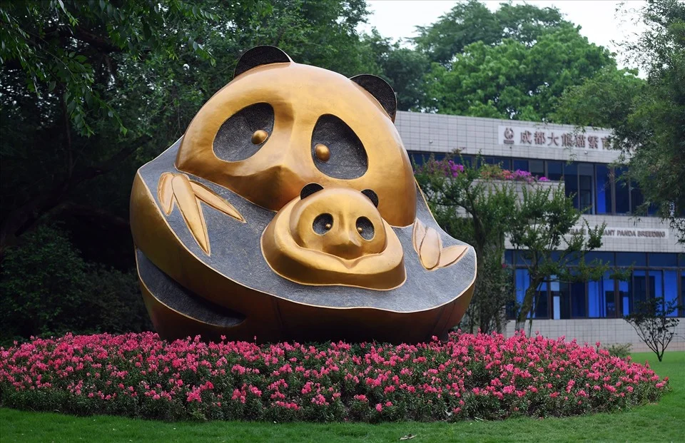 trung-tam-nghien-cuu-gau-truc-thanh-do-hoat-dong-ra-sao