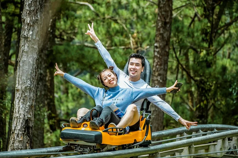 Tour Đà Lạt: Bảng giá, lịch trình chi tiết & Kinh nghiệm từ A-Z