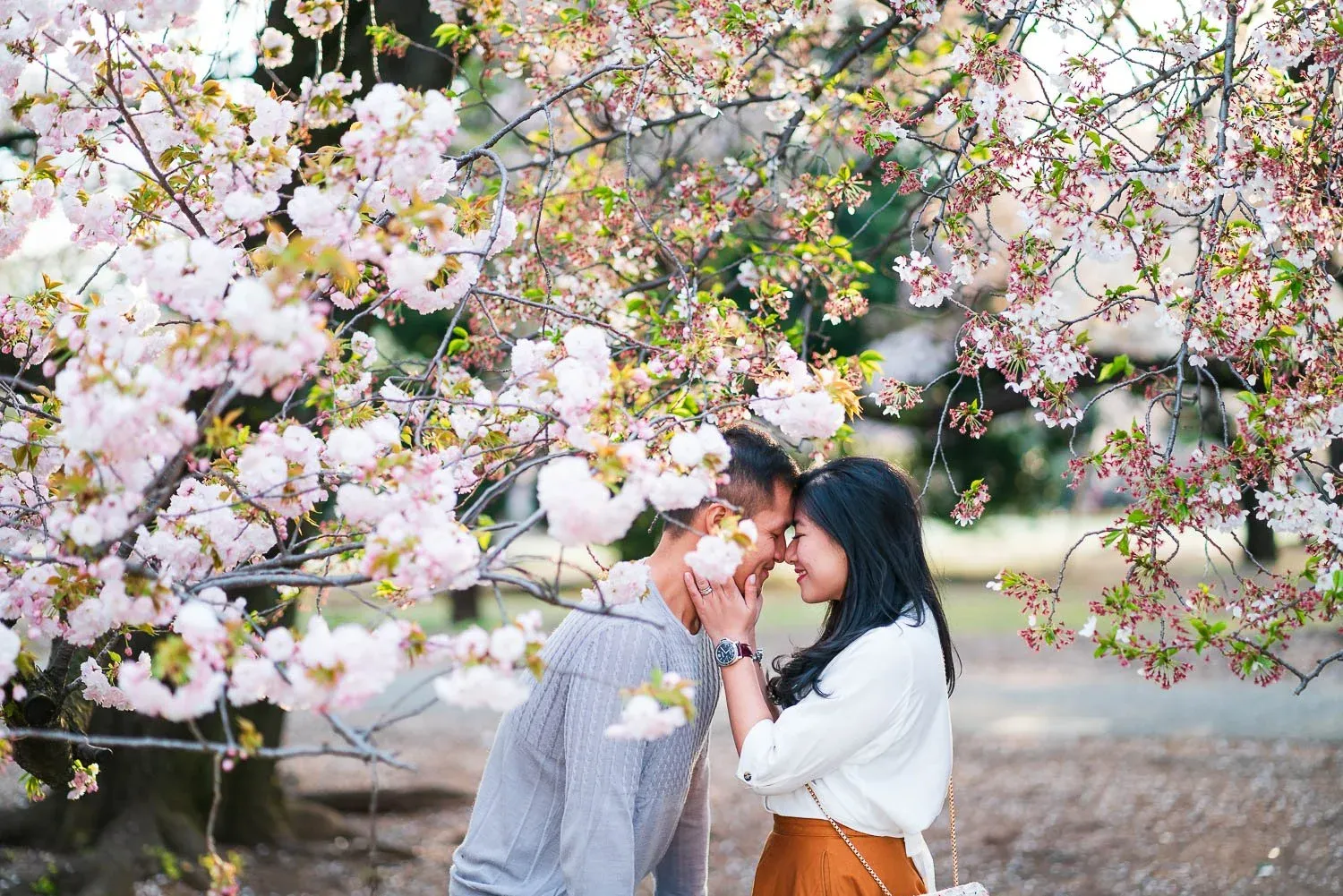 gia-tour-du-lich-nhat-ban-dip-le-304