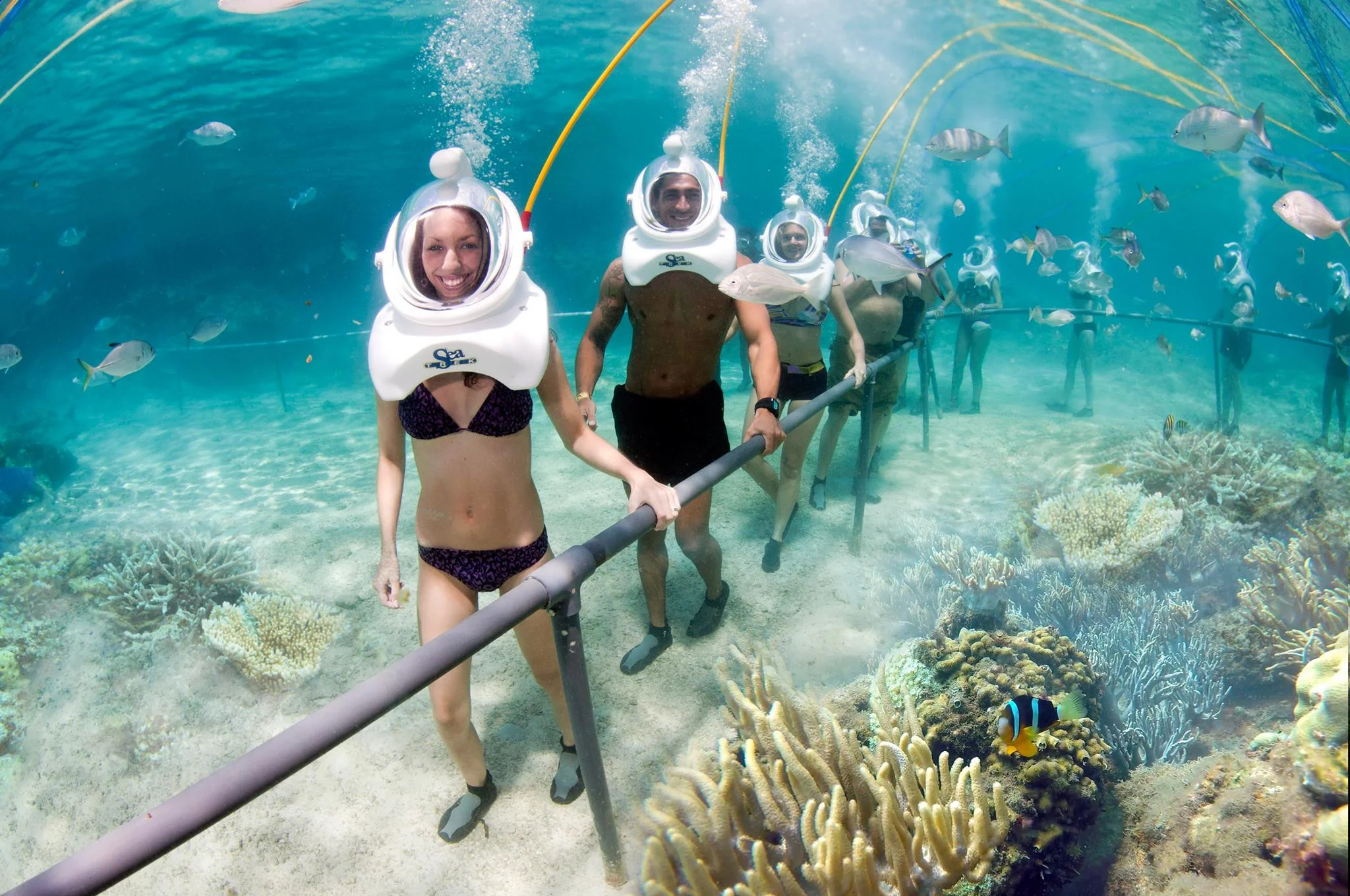 tour-bien-dao-phuong-nam-phu-quoc-con-dao-vung-tau