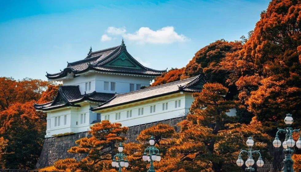 bao-gia-va-chinh-sach-tour-tet-2026-chi-tiet