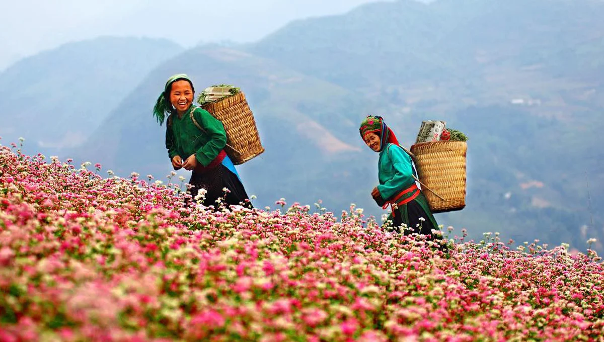 lich-trinh-va-bao-gia-tour-ha-giang-chi-tiet-nhu-the-nao