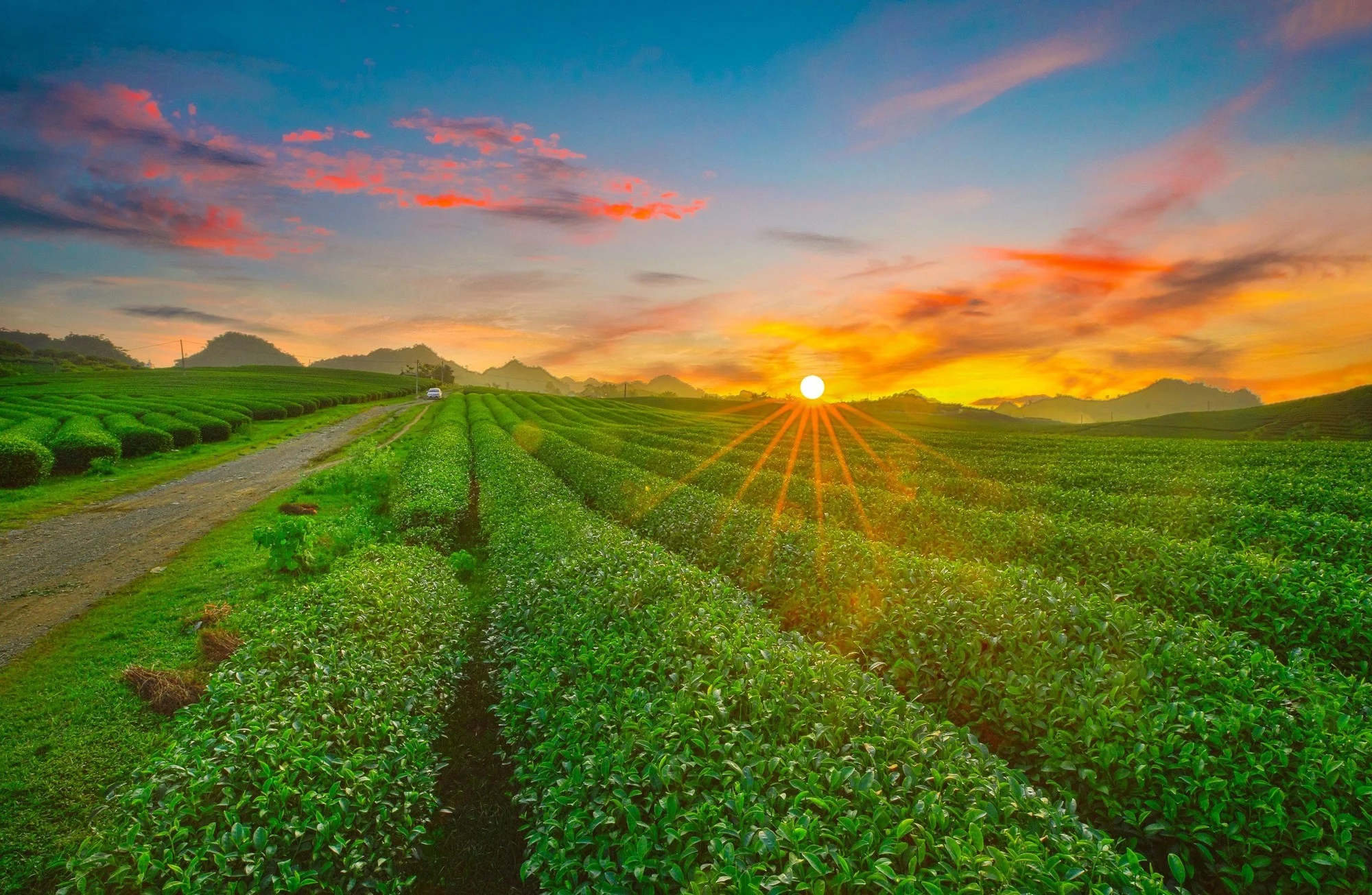 moc-chau-nam-o-dau-va-tai-sao-tour-du-lich-moc-chau-lai-hap-dan