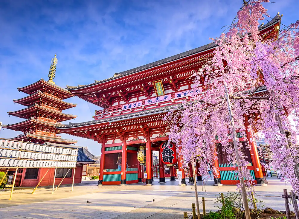 lich-trinh-tour-nhat-ban-5-ngay-4-dem-chi-tiet