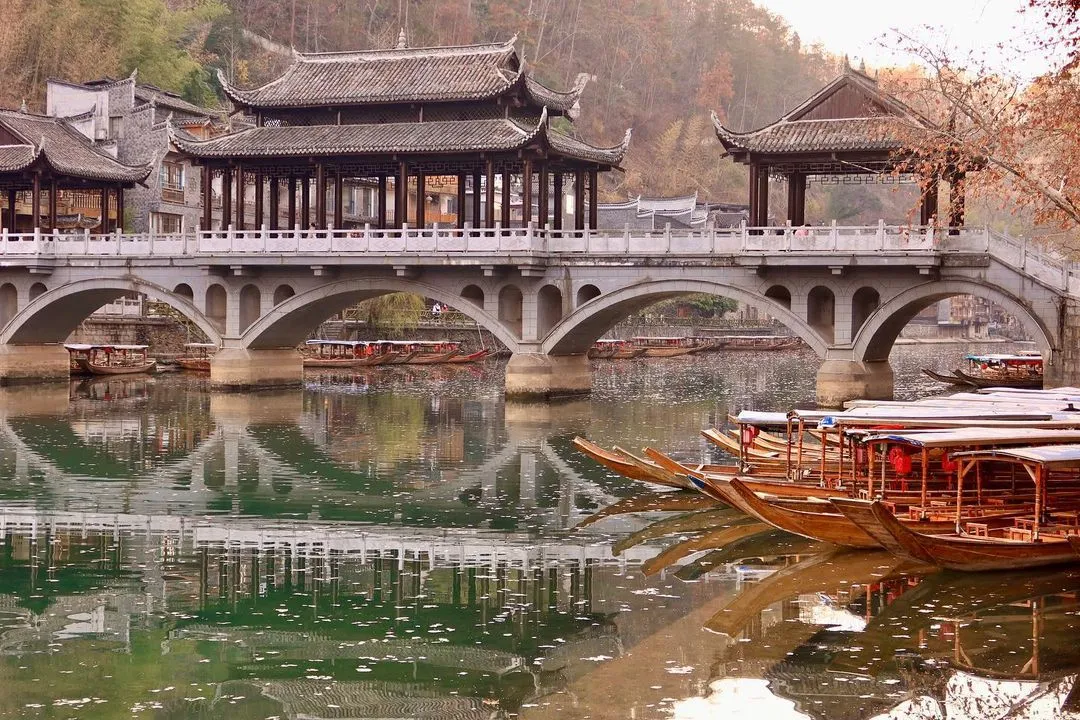 ve-dep-cua-phuong-hoang-co-tran-co-gi-dac-biet