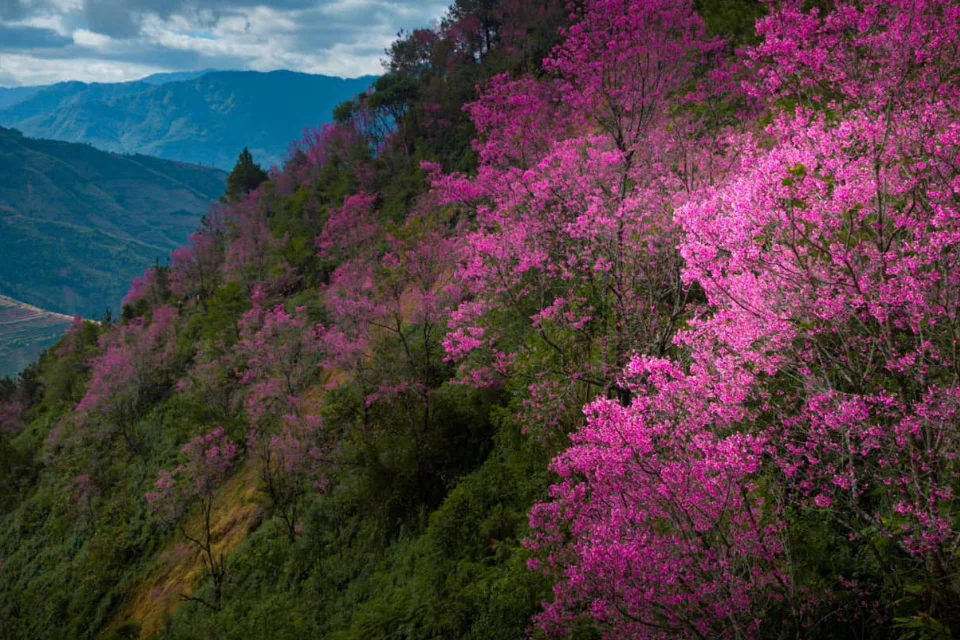tai-sao-nen-chon-tour-shirakawago-cua-phe-travel
