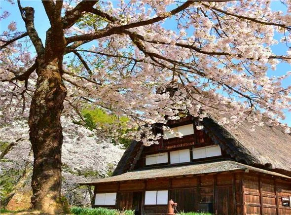 lang-co-shirakawago-di-san-the-gioi-giua-long-nui
