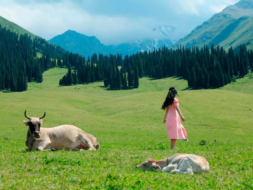 lich-trinh-tour-tan-cuong-10-12-ngay-lien-tuyen-bac-nam-co-gi-khac