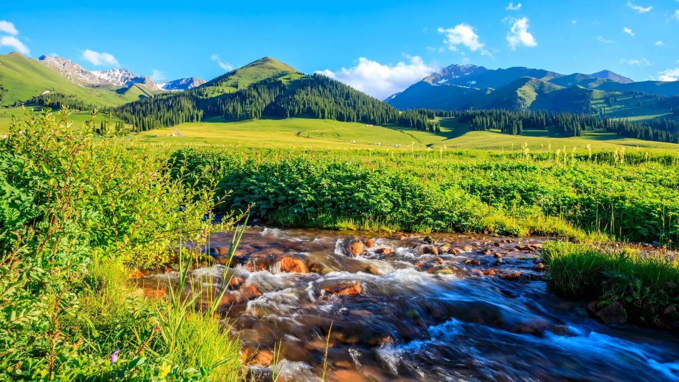 tai-sao-nen-chon-dat-tour-tan-cuong-tai-phe-travel