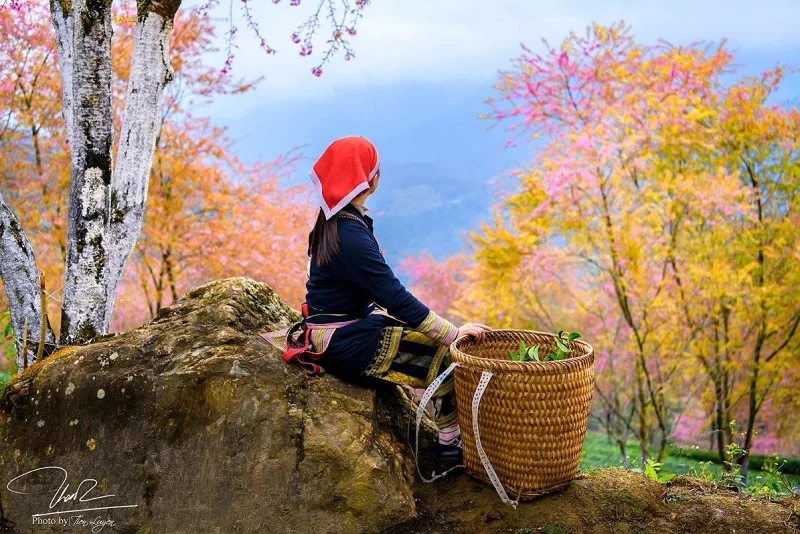 tour-tet-nguyen-dan-2