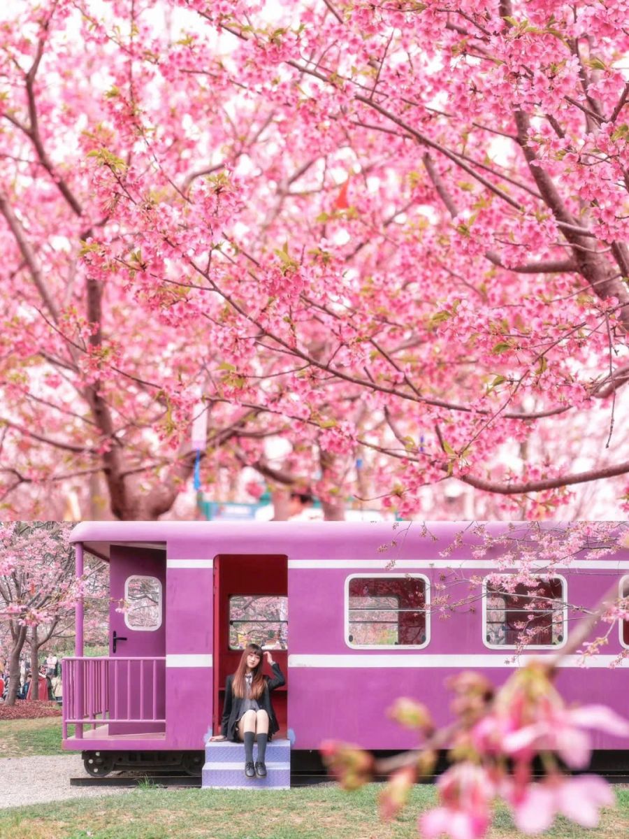 Tour Trung Quốc 6N5Đ: Hà Nội – Thành Đô - Công Viên Gấu Trúc – Trang Viên Mạn Hoa - Cửu Trại Câu – Lạc Sơn Đại Phật 12 trang-vien-man-hoa-6-1