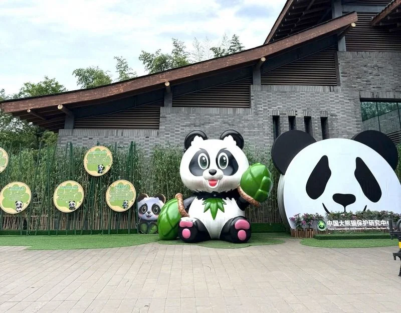 Công viên gấu trúc Thành Đô: Vị trí, điểm thu hút, kinh nghiệm du lịch và chọn tour