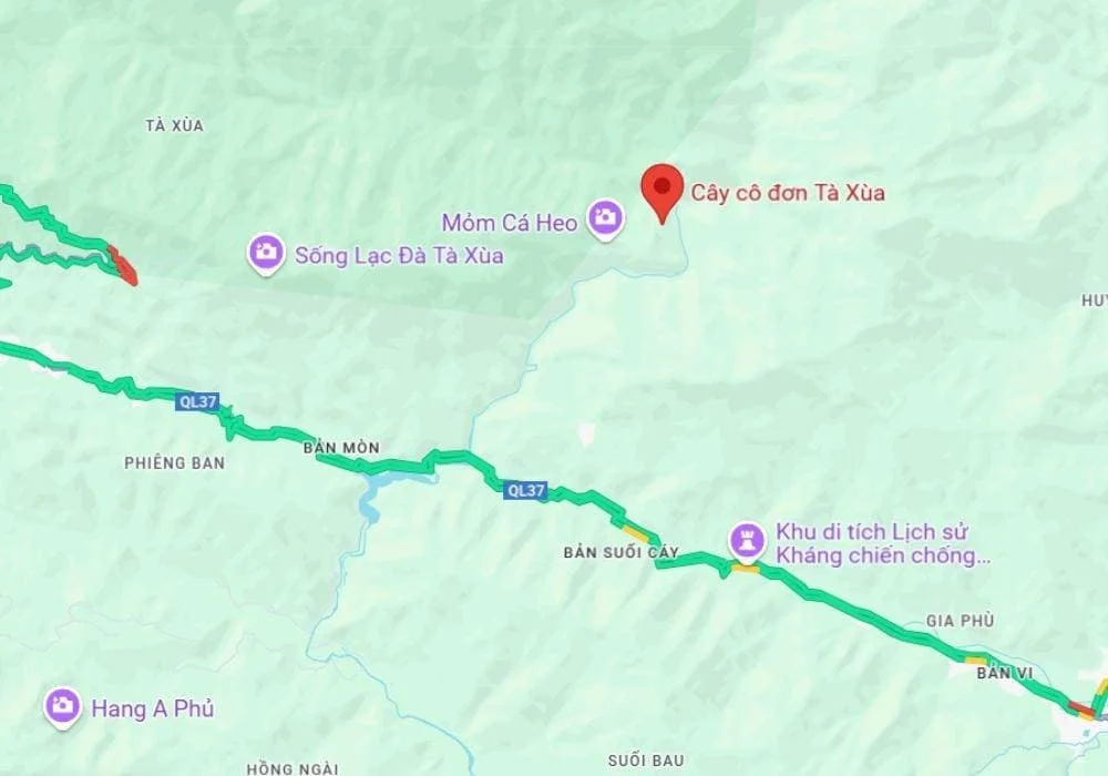 Kinh Nghiệm Du Lịch Tà Xùa Từ A-Z: Mặc gì, Ăn gì, Chơi gì, Ở đâu & Lưu ý sống còn