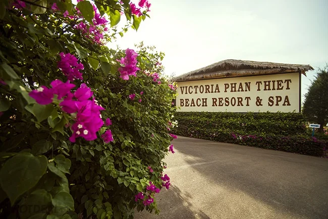 Victoria Phan Thiet Beach Resort & Spa Vị trí, đặc điểm, tiện ích, giá bán các hạng phòng & kinh nghiệm đặt phòng