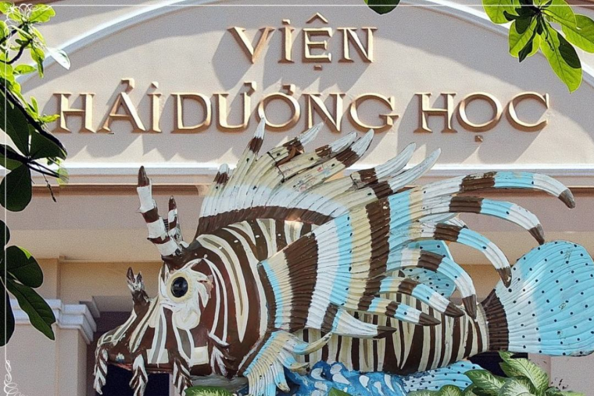 Tour Nha Trang 4 ngày 3 đêm: Lịch trình, điểm nổi bật, giá bán, kinh nghiệm du lịch & đơn vị uy tín giá rẻ