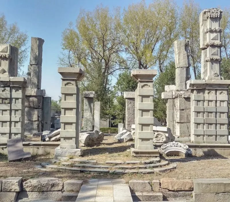 vien-minh-tan-vien-1-1