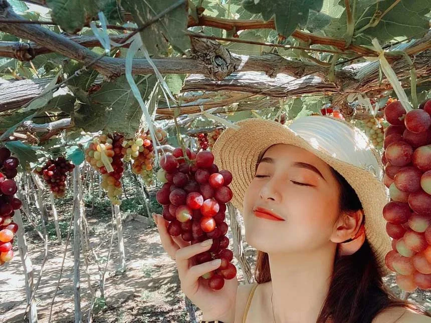 Tour Bình Hưng Vĩnh Hy 2 ngày 2 đêm: Đặc điểm, lịch trình, giá bán, kinh nghiệm và đơn vị tổ chức tour uy tín