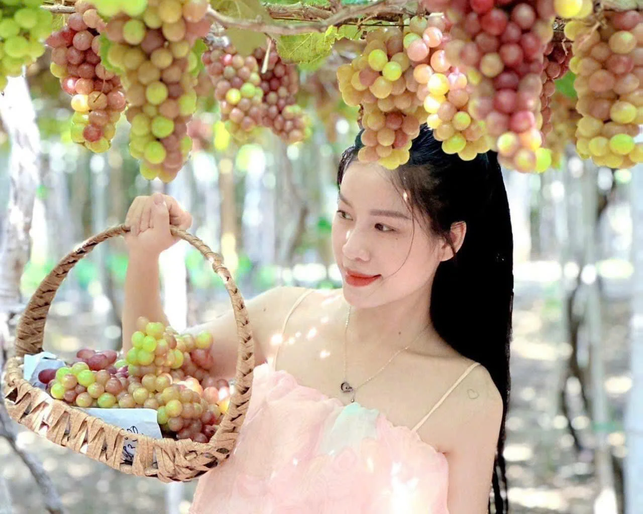 Tour Bình Hưng Nha Trang 3 ngày 3 đêm: Đặc điểm, lịch trình, giá bán, kinh nghiệm và đơn vị tổ chức tour uy tín